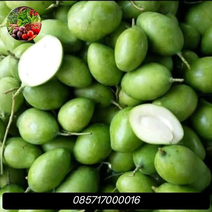 

PastikanDikirimLgsg- buah mangga muda rujakan 1kg