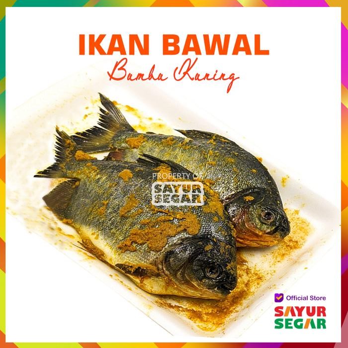 

PastikanDikirimLgsg- IKAN BAWAL BUMBU KUNING [500G] PREMIUM