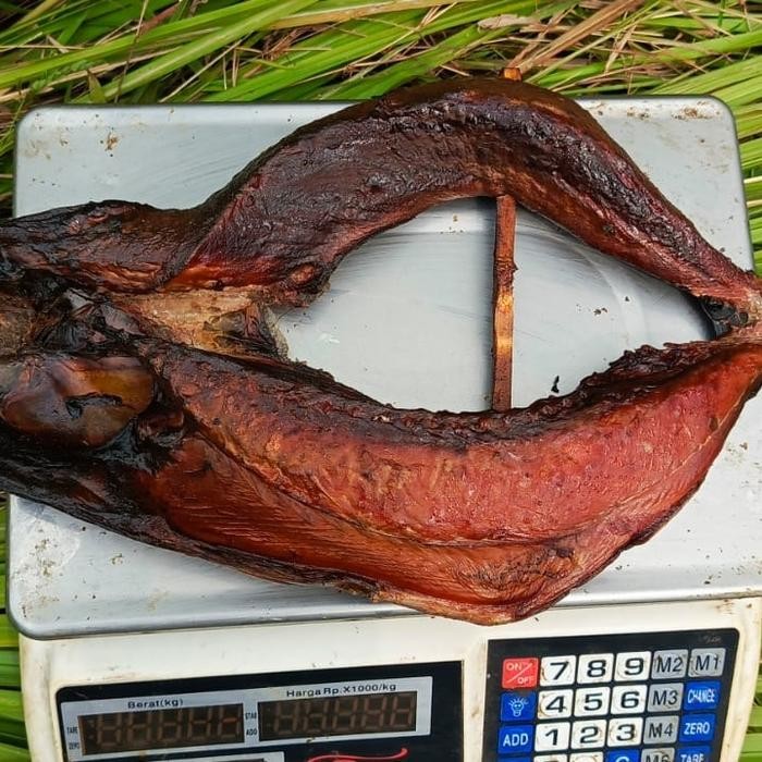 

PastikanDikirimLgsg- Ikan Cakalang Fufu/Asap 75.000 /Kg.