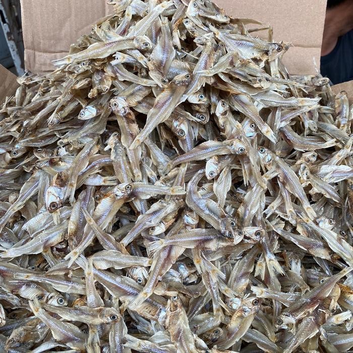 

PastikanDikirimLgsg- teri tawar Padang ukuran besar per 250gr