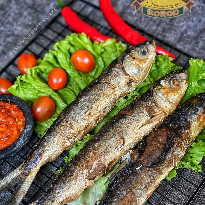 

PastikanDikirimLgsg- bandeng rorod