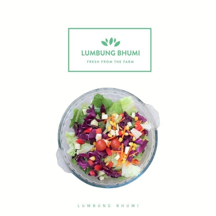 

PastikanDikirimLgsg- Salad Sayur Caesar L - 500 ml - Lumbung Bhumi