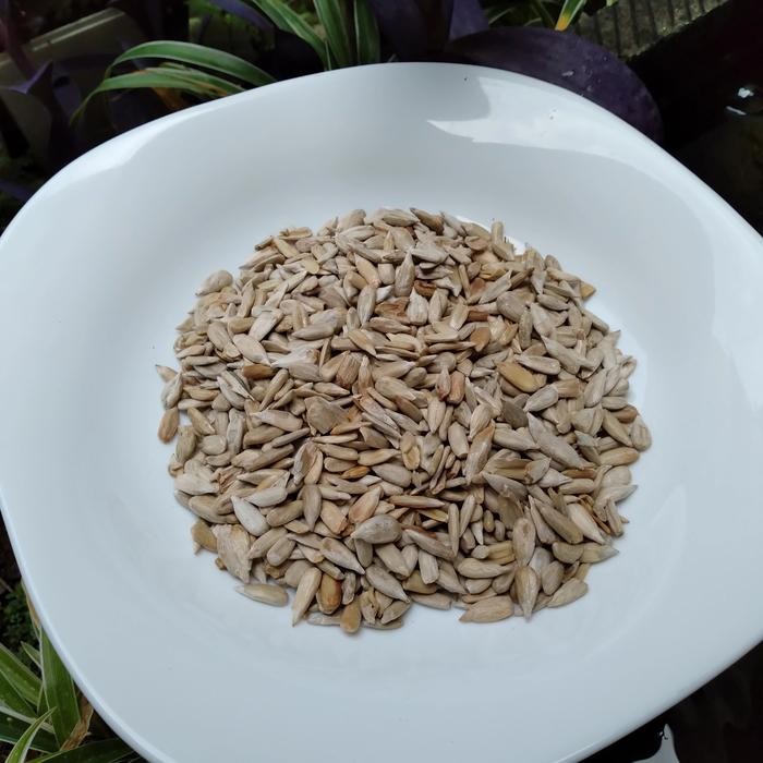 

PastikanDikirimLgsg- SUNFLOWER 1kg , RAW SUNFLOWER , KWACI BUNGA MATAHARI SUPER