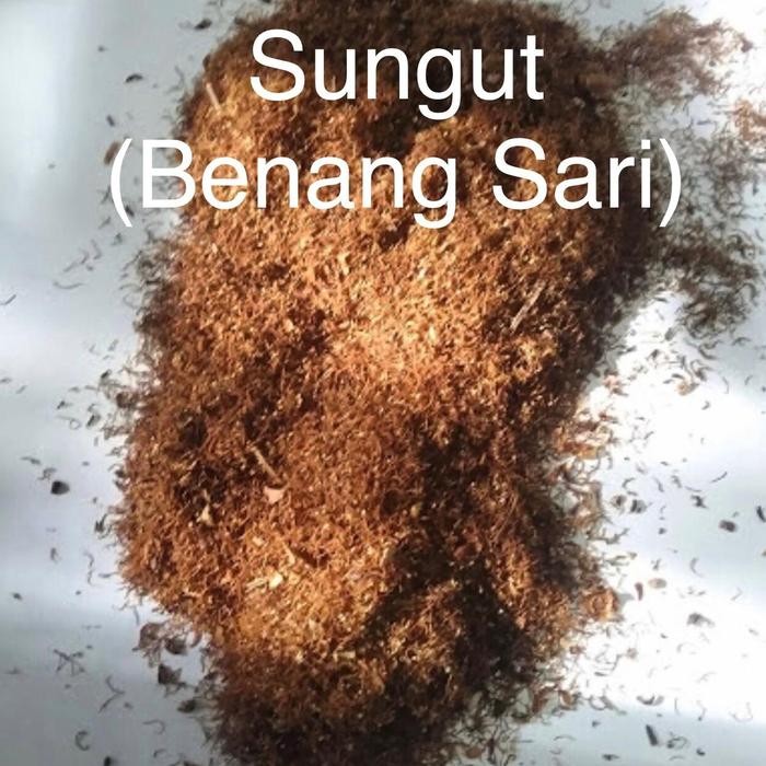 

New Sungut Benang Sari Cengkeh 1kg