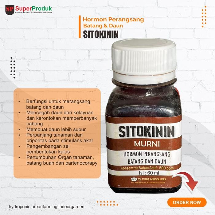 Evergreeeen Hormon Zpt Sitokinin 60Ml