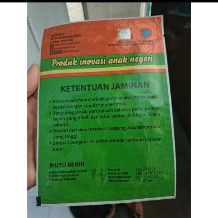 Evergreeeen Bibitbungadanbuah - Benih Cabe Besar Darmais F1 10 Gram