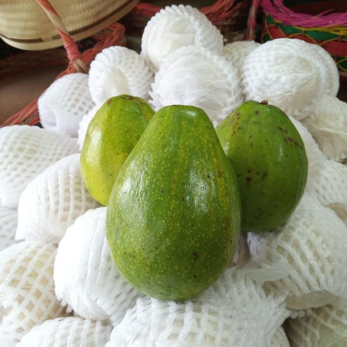 

Promo Alpukat Terbaru