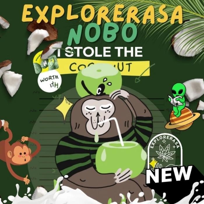 

St0ckMelimpAh- nobo coconut milk drink barista isi 1 liter