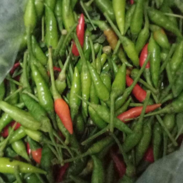 

BnyKBonusBelidiMari- cabe rawit hijau 1 kg