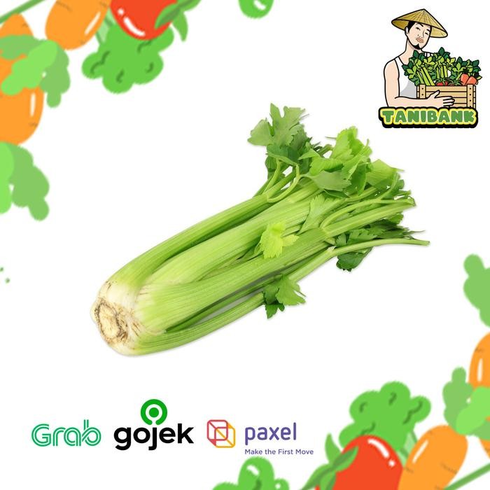 

BnyKBonusBelidiMari- Celery stick / seledri stik impor China per KG