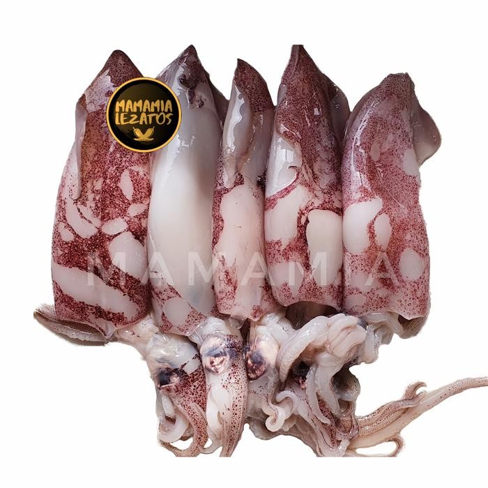 

PastiFreShNya- cumi segar