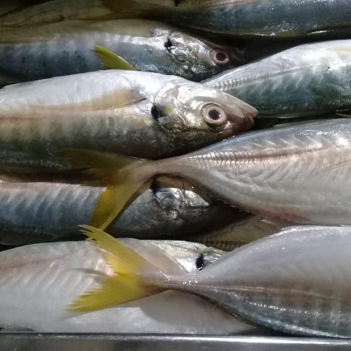

PastiFreShNya- Ikan Kembung Como Segar 1kg