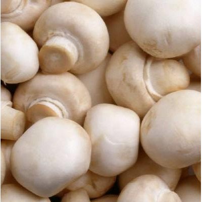 

BnyKBonusBelidiMari- Jamur Champignon 500gr