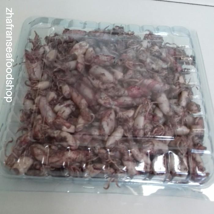 

PastiFreShNya- cumi asin(1kg per pack)