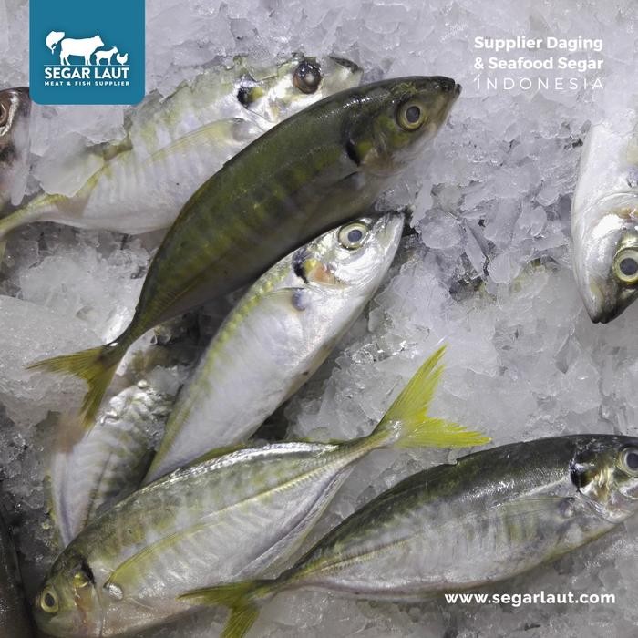 

PastiFreShNya- Ikan Kembung Como FRESH