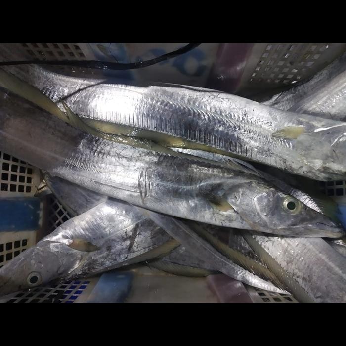 

PastiFreShNya- Ikan Layur Segar 1KG