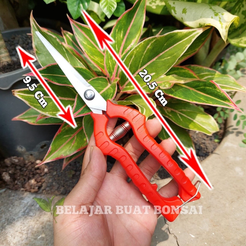 

Gunting Dahan Bunga Dan Buah Panjang 20.5 Cm