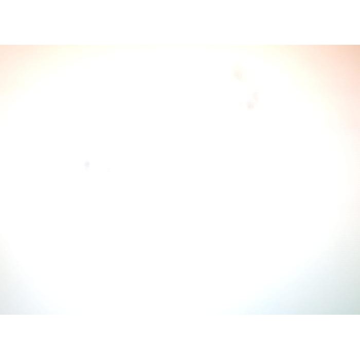 {{{{}}] HAKAI Stainless Wine Bucket / Ember Es Batu 19cm #SSHB-BUC/3