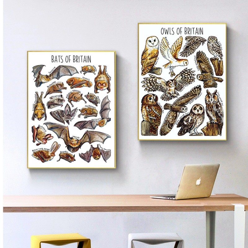 

Waders Birds Ladybirds Bats Of Prey Of Britain Watercolour Canvas Poster Education Student Art
