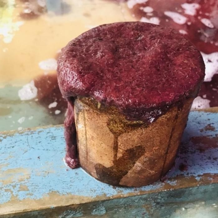 Pawretty- Cacing Sutra Hidup (Literan)