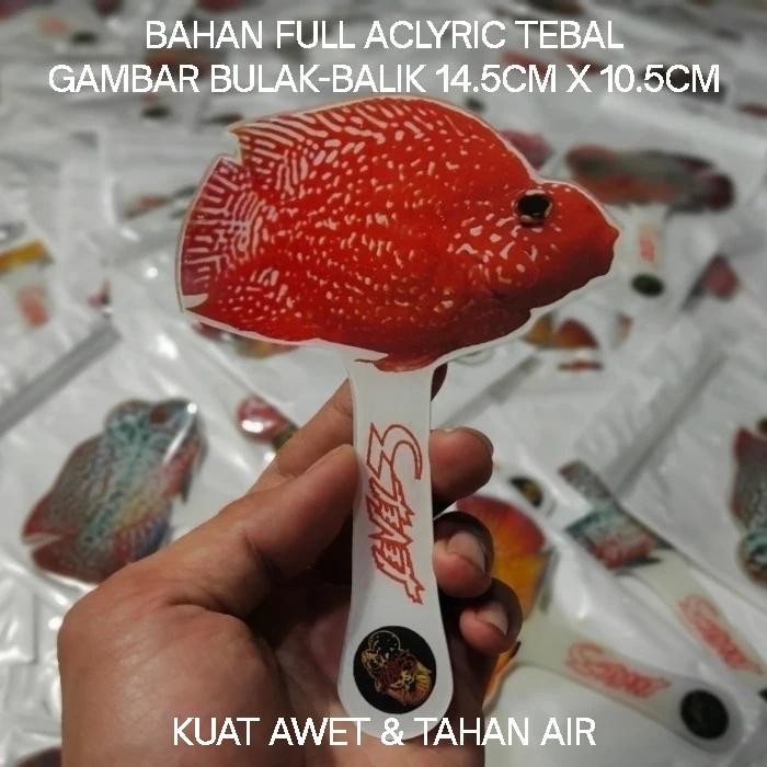 Pawretty- Wayang louhan untulan ikan parrot acliric tebal besar