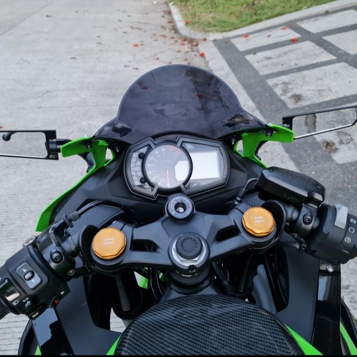 SPION WINGLET REP RIZOMA STEALTH CBR250RR ZX25R ZX6R N250FI ZX10R R25