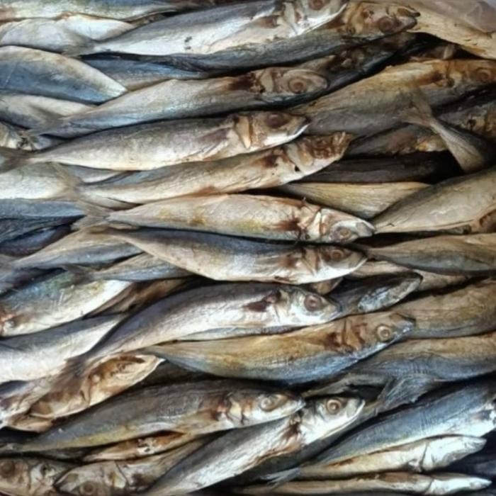

Terlaris- Promo Beli 5 Gratis 5 Ikan Asin / Ikan Asin Murah / Aneka Ikan Asin / Ikan Asin /