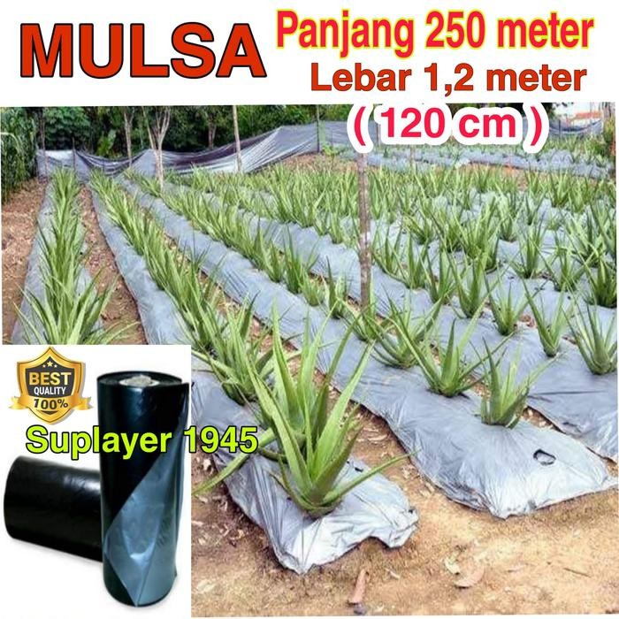 MULSA ( 1 ROLL )