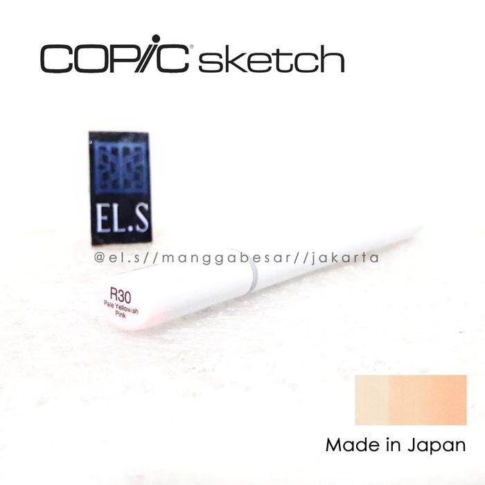 

COPIC SKETCH MARKER R30 ( CSM )