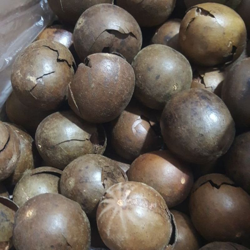 

Lo han kuo pecah / retak - buah lohankuo kering pecah