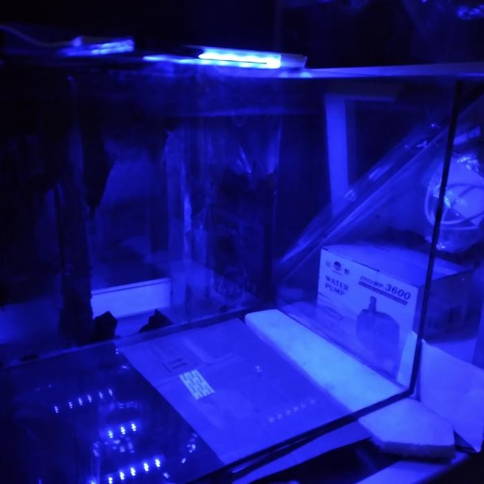 PREMIUM lampu aquarium murah ukuran mini biru
