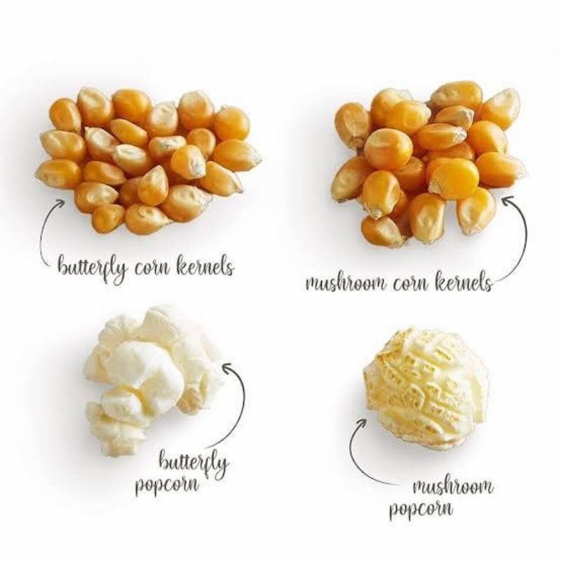 

jagung Popcorn jumbo Musrom kemasan 500 gram