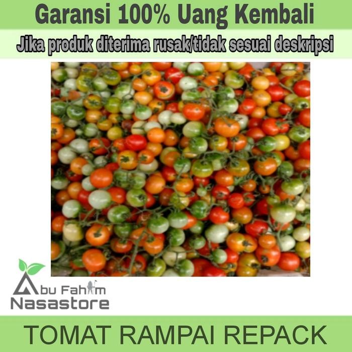 Bibit/Benih Unggul Tomat Rampai Unggul /Benih Unggul Berkualitas/Bibit Tanaman Sayur Repack/
