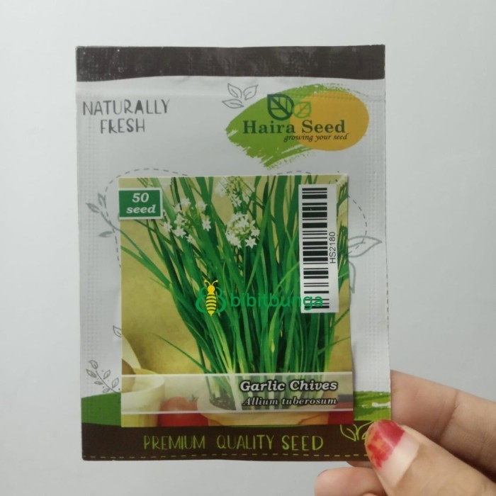 Benih Bibit Bawang Kucai Garlic Chives Biji Tanaman Sayur Sayuran Daun