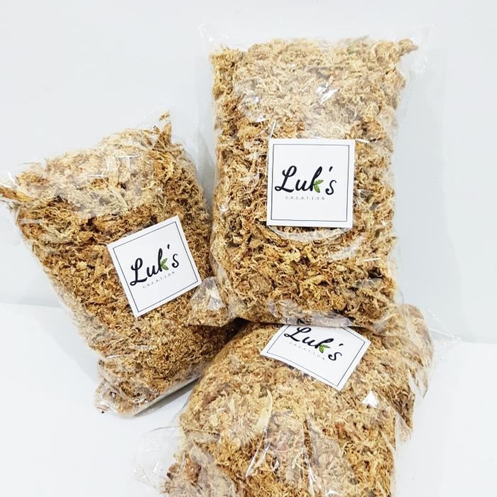 JTTOP" SPAGNUM MOSS PUTIH - CHILI MOSS - MOSS ANGGREK - MEDIA TANAM ANGGREK