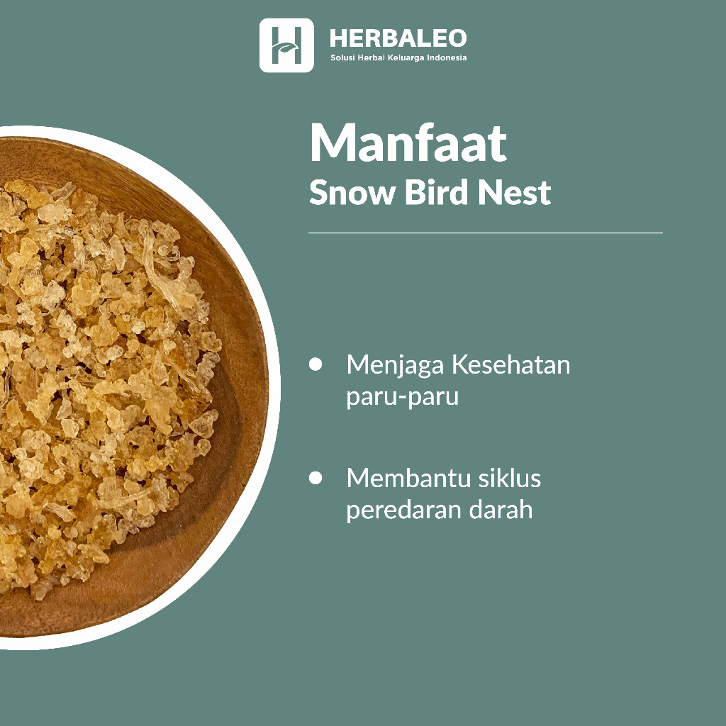 

Herbaleo Snow Bird Nest Herbal Snack 5g Membantu Menjaga Kesehatan Paru-paru