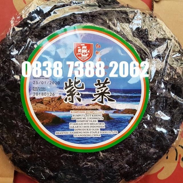 

JTTOP" CI CAI RUMPUT LAUT UNTUK SUP