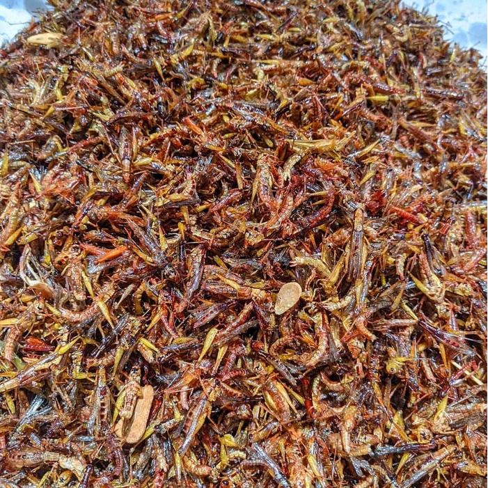 

JTTOP" WALANG GORENG, BELALANG GORENG UTIS/PADI TOPLES NASTAR BERAT -+120GRAM RENDAH LEMAK PEDAS