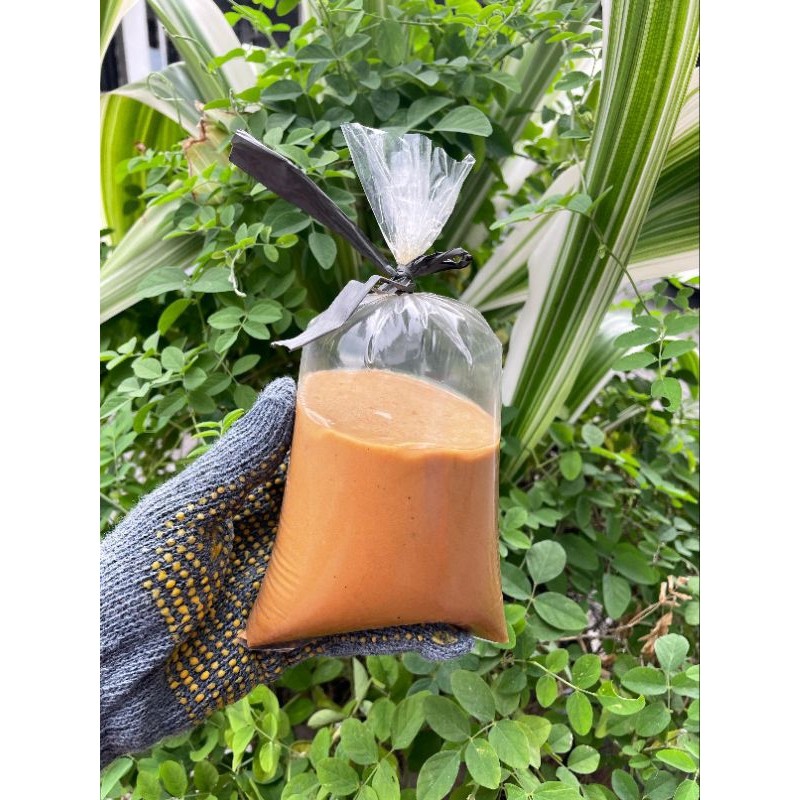

Sega Tungtung Petis Madura Ikan Tuna Murni Asli Biasa Pettis Madura Asli (500 Gram)