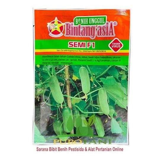 

Terlaris Bibit Mentimun F 1 Benih Timun Semi F1 Bintang Asia 900 Butir 20Gr