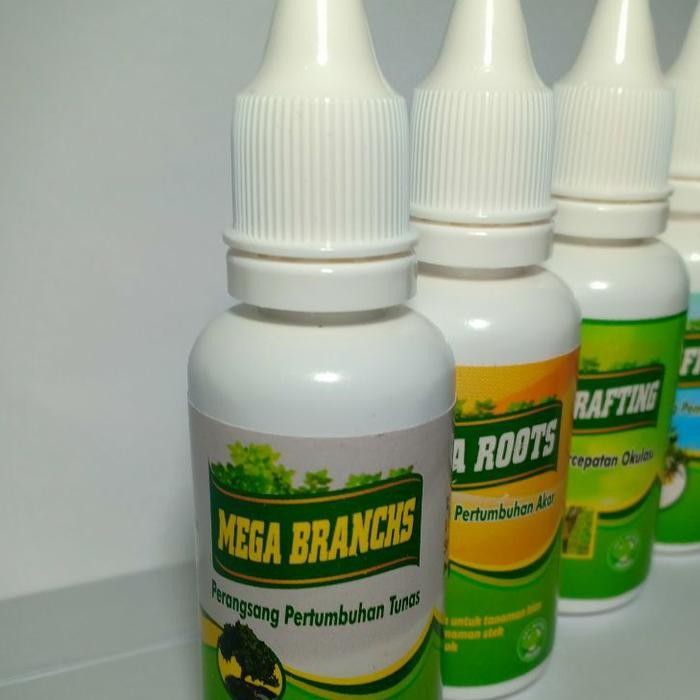 

Terlaris Paket Produk Mega Untuk Pohon Bibit Tanaman Buah
