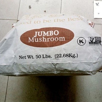 

jagung musrom jagung popcorn jumbo