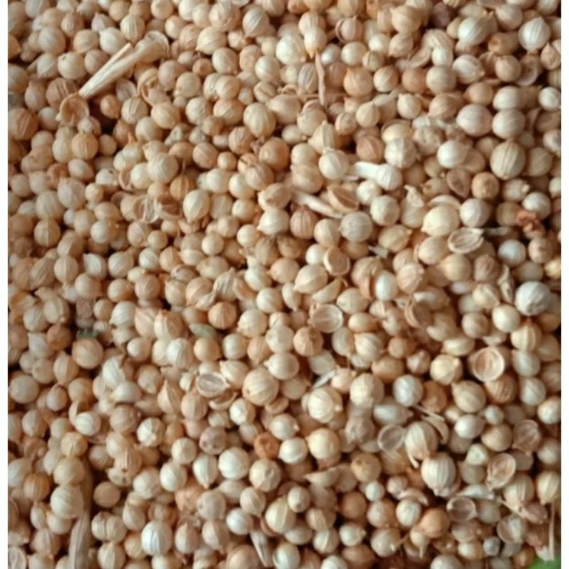 

Biji ketumbar / Ketumbar Bulat 100gram