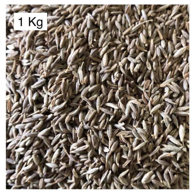 

Jintan Putih / Jintan India / Cumin Seed 1 Kg