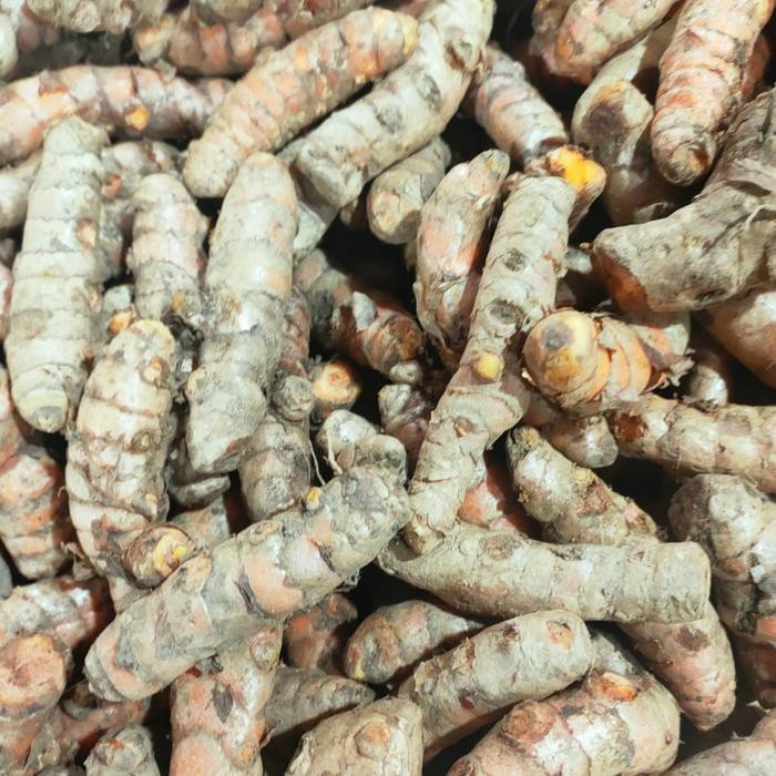 

Terlaris Kunyit Segar 500Gr