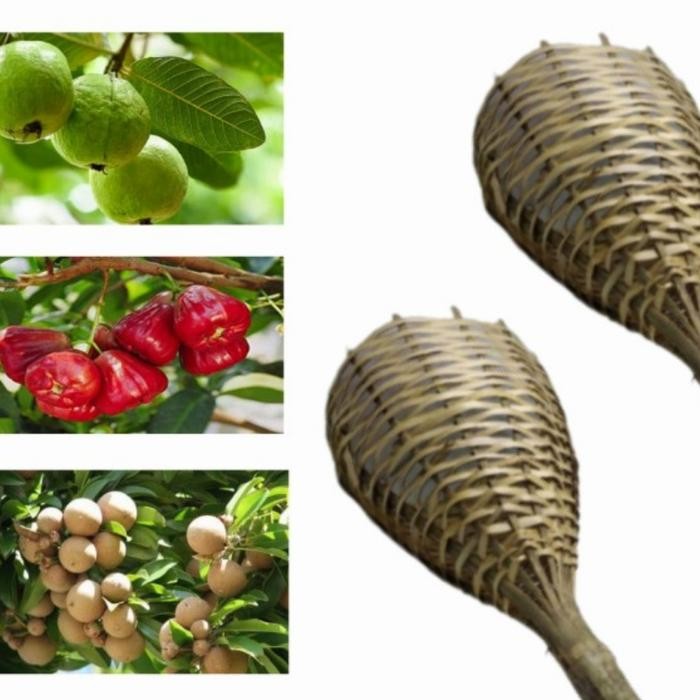 Alat Pemetik Buah Alat Bantu Petik Buah Bahan Bambu Brongsong Bambu