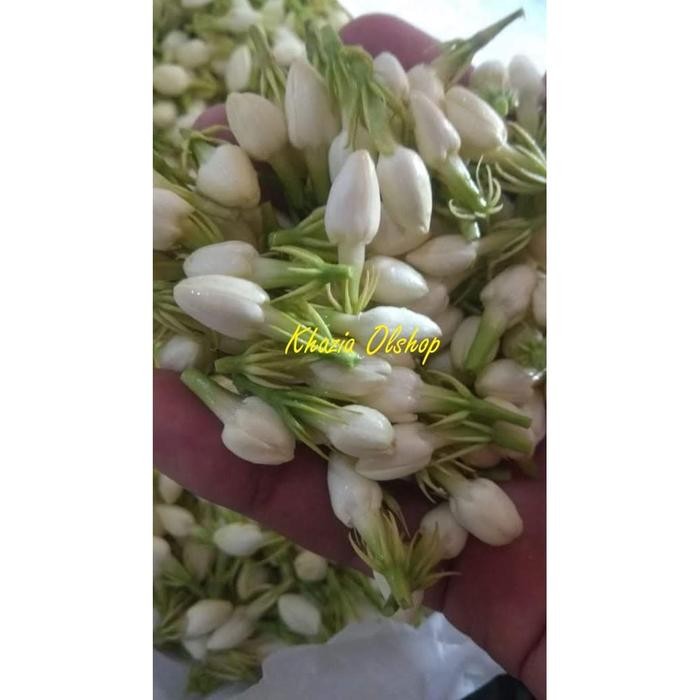 Fresh Finds Melati Asli Pewangi Ruangan Ronce Siraman Penganten