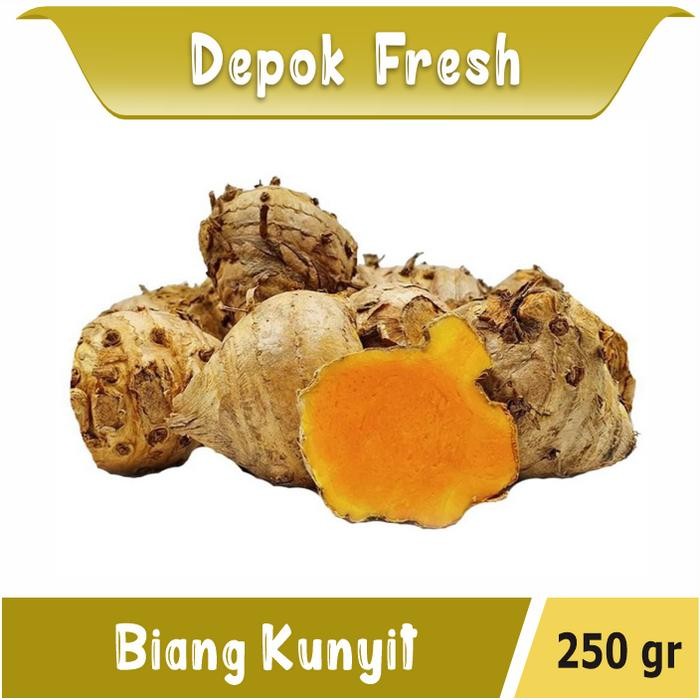 

Terlaris Biang Kunyit / Induk Kunyit