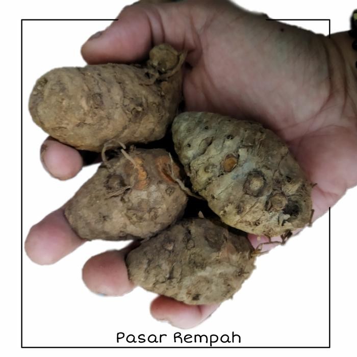 

Terlaris Biang Kunyit Segar 500Gram