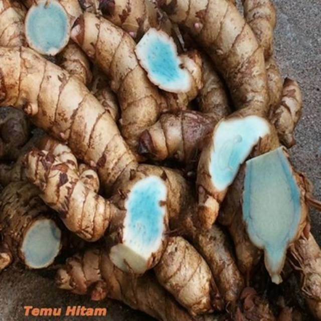 

Terlaris Temu Hitam Basah Segar 250 Gram Kunyit Kunir Temu Ireng Siap Ambil